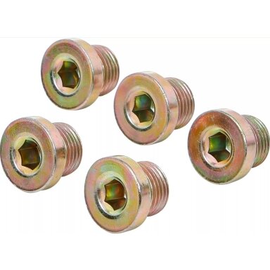 Alyvos išleidimo varžtai | iš BGS 126 | M17 x 1,5 mm | 5 vnt. BGS