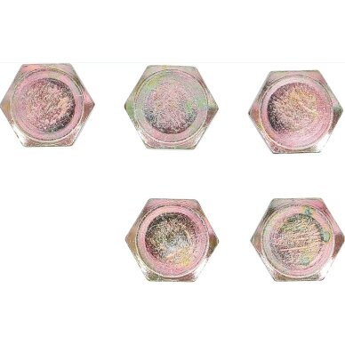 Alyvos išleidimo varžtai | iš BGS 126 | M15 x 1,5 mm | 5 vnt. BGS 2 Alyvos išleidimo varžtai | iš BGS 126 | M15 x 1,5 mm | 5 vnt. BGS 2