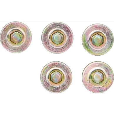 Alyvos išleidimo varžtai | iš BGS 126 | M17 x 1,5 mm | 5 vnt. BGS 2 Alyvos išleidimo varžtai | iš BGS 126 | M17 x 1,5 mm | 5 vnt. BGS 2