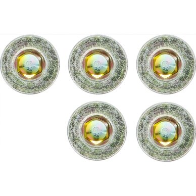Alyvos išleidimo varžtai | iš BGS 126 | M20 x 1,5 mm | 5 vnt. BGS 2 Alyvos išleidimo varžtai | iš BGS 126 | M20 x 1,5 mm | 5 vnt. BGS 2