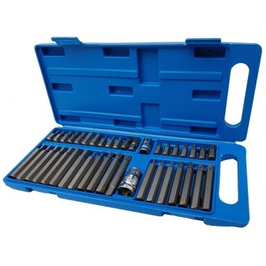 Antgalių rinkinys TORX HEX SPLIN, plastikinė dėžutė 40vnt. Antgalių rinkinys TORX HEX SPLIN, plastikinė dėžutė 40vnt.
