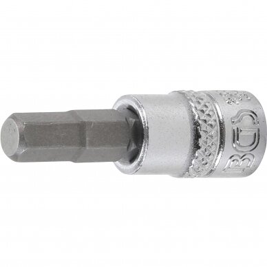 Antgalis įpresuotas į galvutę | 6,3 mm (1/4") hex šešiakampis 6 mm Antgalis įpresuotas į galvutę | 6,3 mm (1/4") hex šešiakampis 6 mm