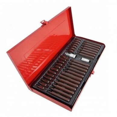 Antgalių rinkinys S2 torx/hex/spline 40 vnt. 3
