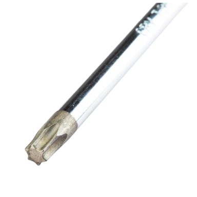 Atsuktuvas TORX T25 x 100mm, 203mm SATA