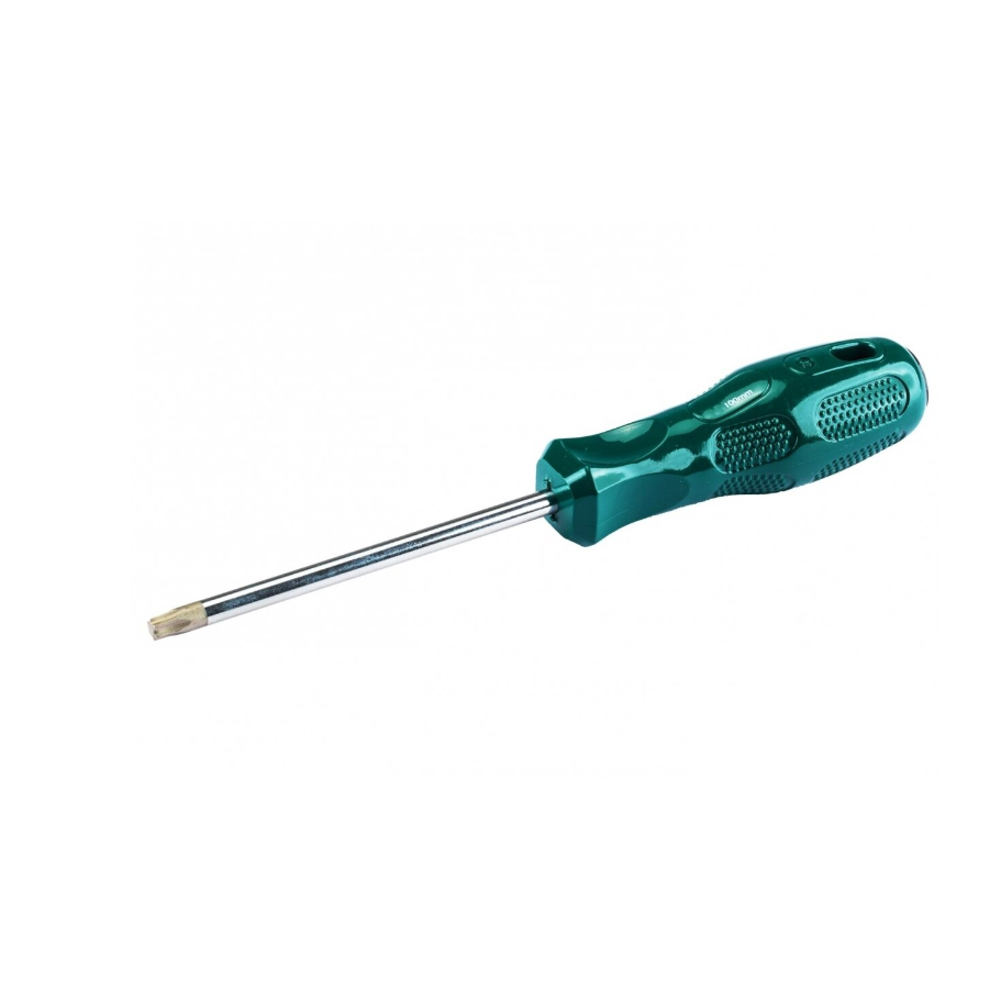 Atsuktuvas TORX T15 x 100mm, 190mm SATA