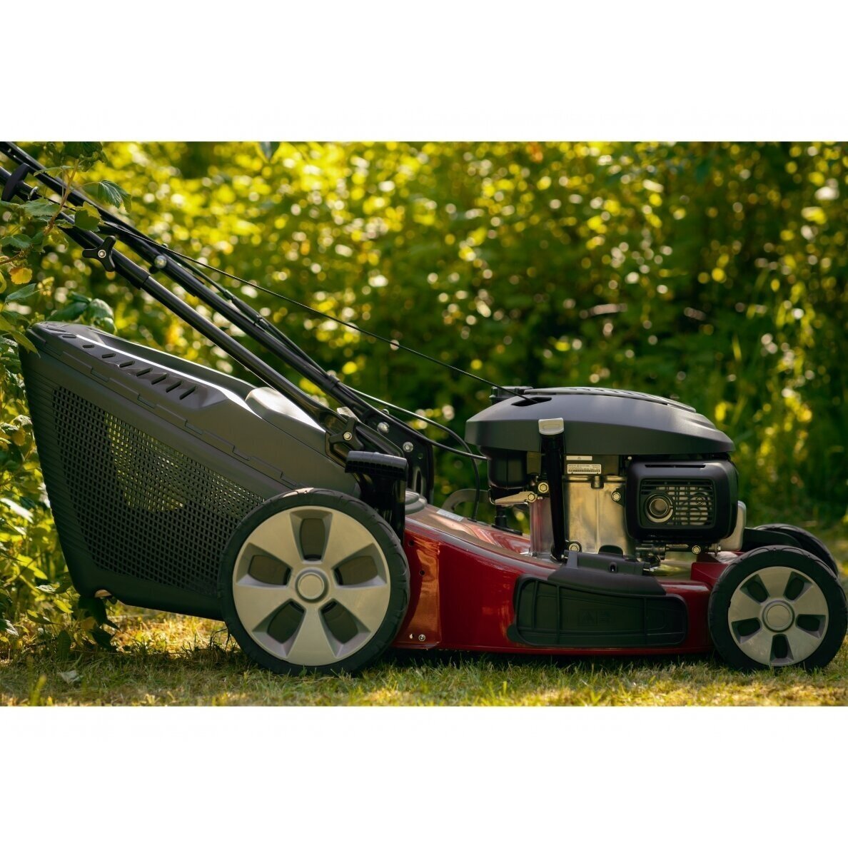 Castelgarden XC 53 HS savaeigė benzininė vejapjovė 51cm 3.3kW Honda variklis 1
