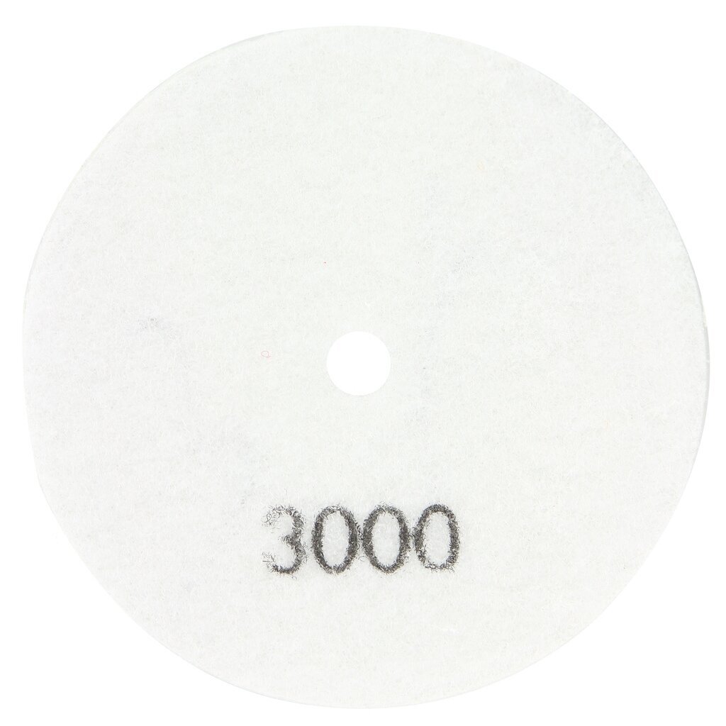 Deimantinis poliravimo diskas 100mm #3000 2 Deimantinis poliravimo diskas 100mm #3000 2