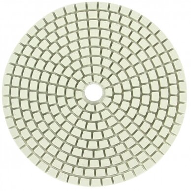 Deimantinis poliravimo diskas 100mm #3000 1