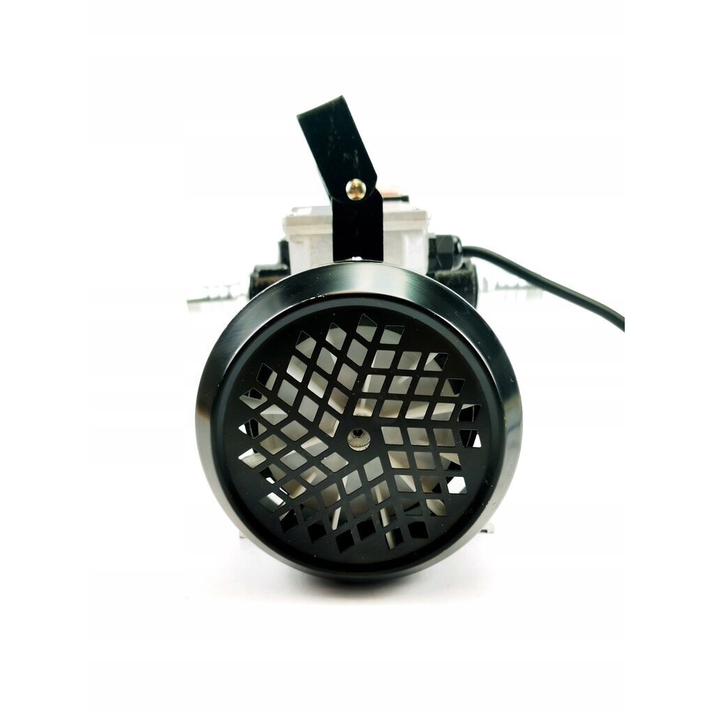 Elektrinis alyvos ir kuro siurblys 550W 12 Elektrinis alyvos ir kuro siurblys 550W 12