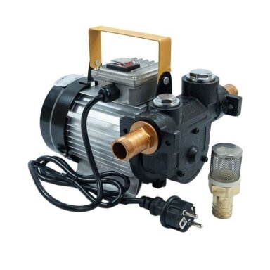 Elektrinis alyvos ir dyzelino siurblys 550W 220V Elektrinis alyvos ir dyzelino siurblys 550W 220V