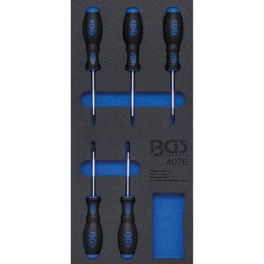 Įrankių dėklas 1/3: T-Star atsuktuvai (Torx) | 5 vnt. BGS