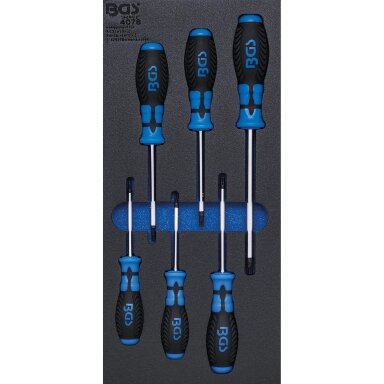Įrankių dėklas 1/3: T-Star atsuktuvai (Torx) | 6 vnt. BGS