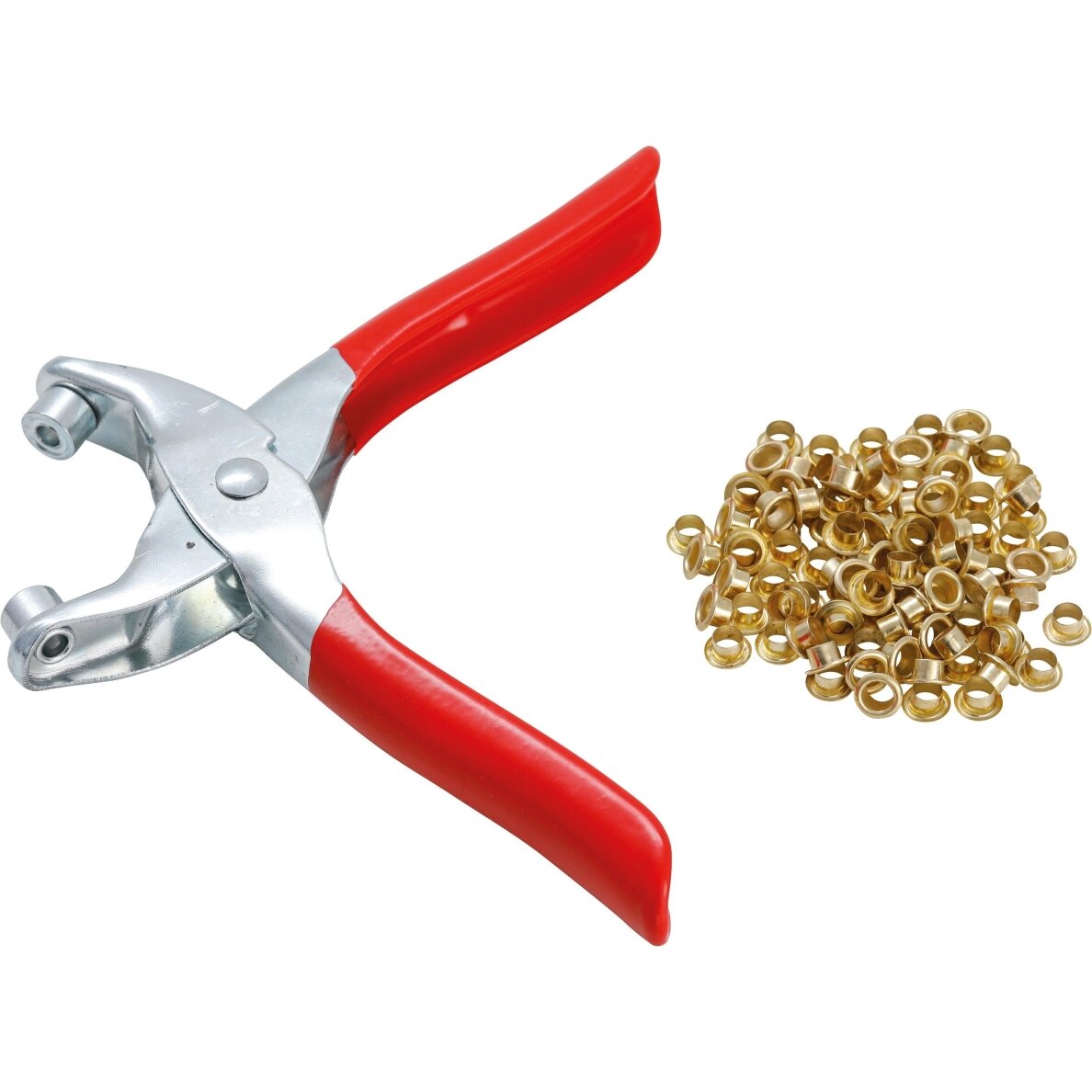 Kniedijimo replės su 100 apskritų kniedžių | 4,5 mm BGS Kniedijimo replės su 100 apskritų kniedžių | 4,5 mm BGS