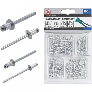 Kniedžių rinkinys 2.4 - 4.8 mm 100 vnt. Kniedžių rinkinys 2.4 - 4.8 mm 100 vnt.