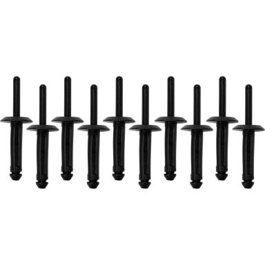 Plastikinės kniedės 6,3 x 25,2 mm 10 vnt.