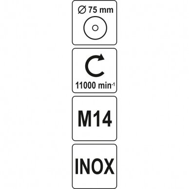 C 2 C 2