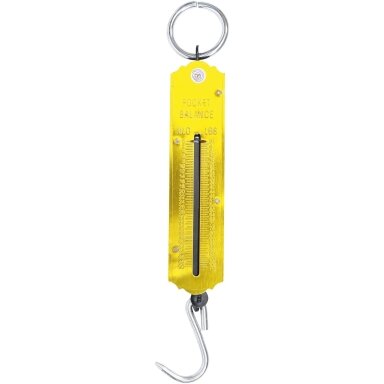 Svarstyklės spyruoklinės | maks. 50 kg 8034 BGS Technic