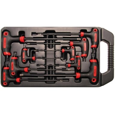T-rankenėlių atsuktuvų rinkinys | T-Star su skyle (Torx) | T10-T50 | 9 vnt. BGS
