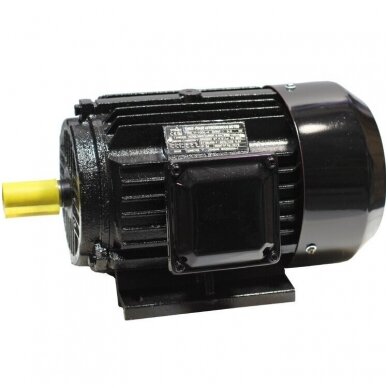 Trifazis asinchroninis elektros variklis 2.2KW Trifazis asinchroninis elektros variklis 2.2KW
