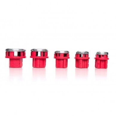 Vamzdinių sriegpjovių rinkinys 5 vnt. su terkšle 3/8"-1 1/4" 12 Vamzdinių sriegpjovių rinkinys 5 vnt. su terkšle 3/8"-1 1/4" 12