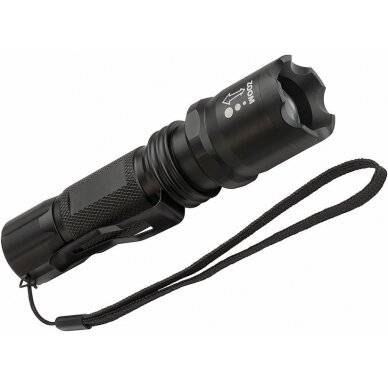 Žibintuvėlis LED TL 250F 3xAAA baterijos IP44 250lm, Brennenstuhl Žibintuvėlis LED TL 250F 3xAAA baterijos IP44 250lm, Brennenstuhl